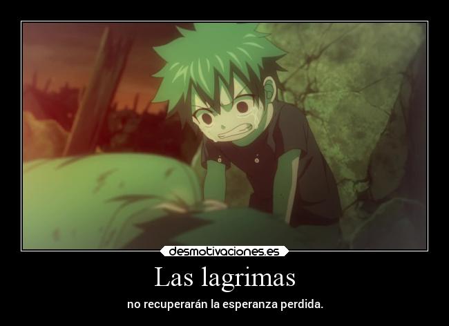 carteles anime llorar lagrimas gray doniisback doni desmotivaciones