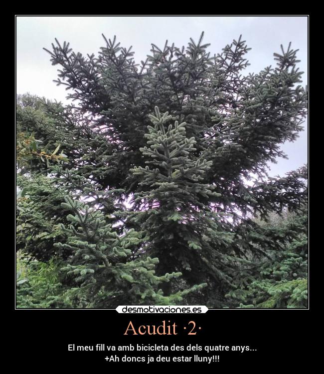 Acudit ·2· - El meu fill va amb bicicleta des dels quatre anys...
+Ah doncs ja deu estar lluny!!!