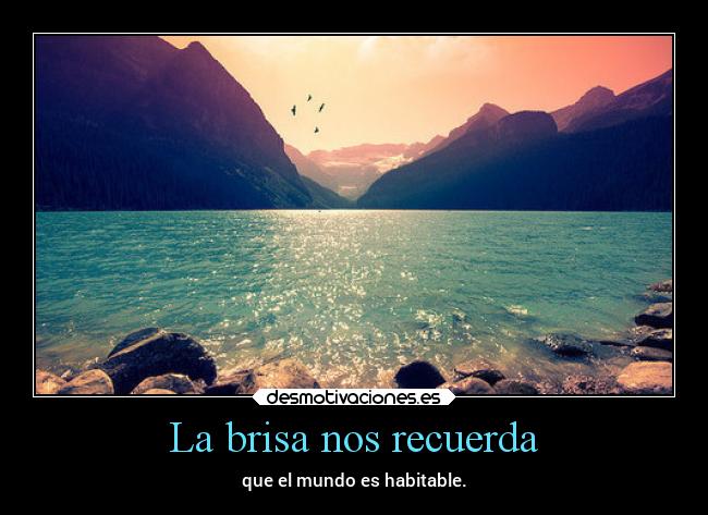 La brisa nos recuerda - que el mundo es habitable.