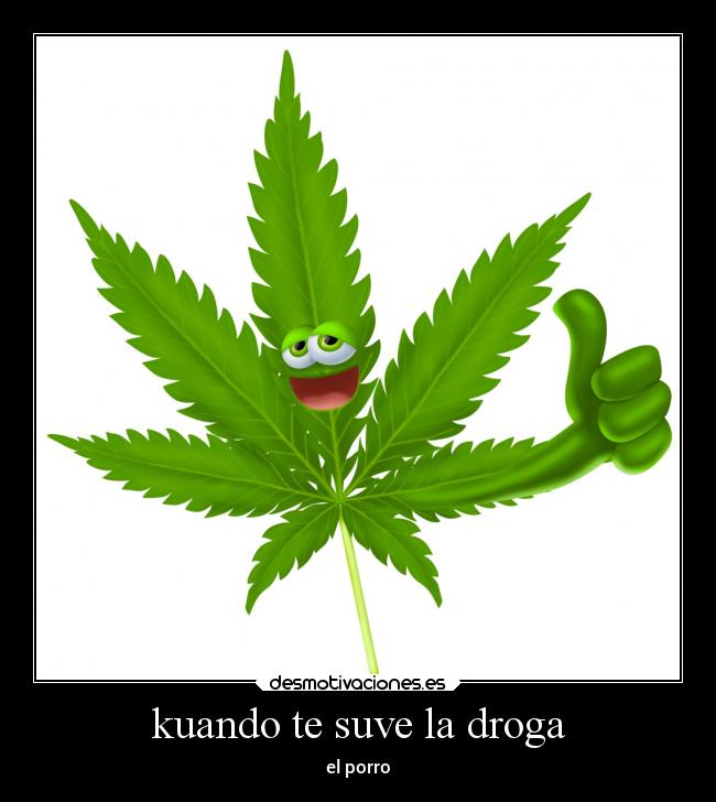 carteles bogota alma amor arte locura desmotivaciones