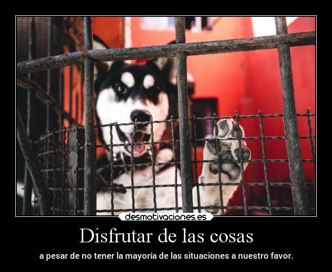 Disfrutar de las cosas - a pesar de no tener la mayoría de las situaciones a nuestro favor.