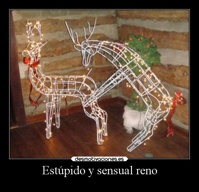 Estúpido y sensual reno -