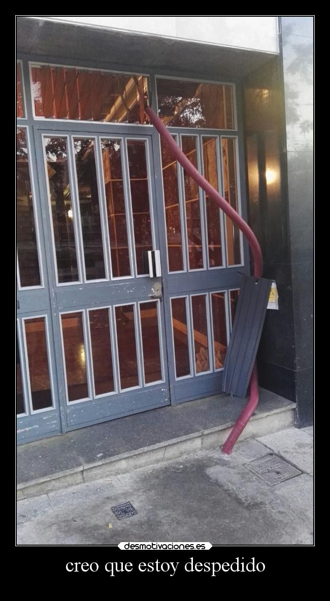 creo que estoy despedido - 