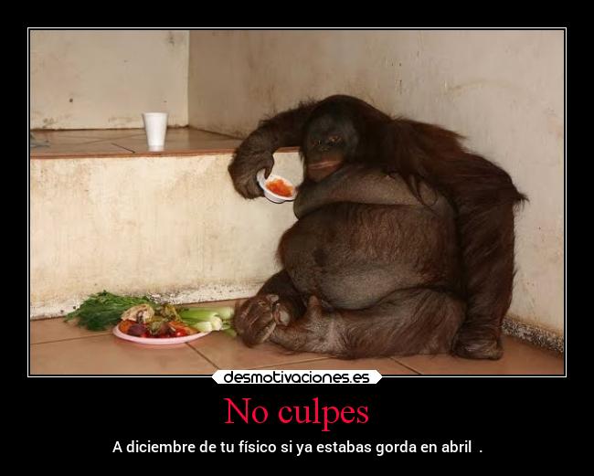 No culpes - A diciembre de tu físico si ya estabas gorda en abril  .