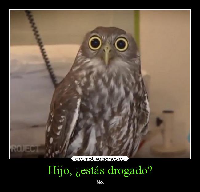 Hijo, ¿estás drogado? - No.