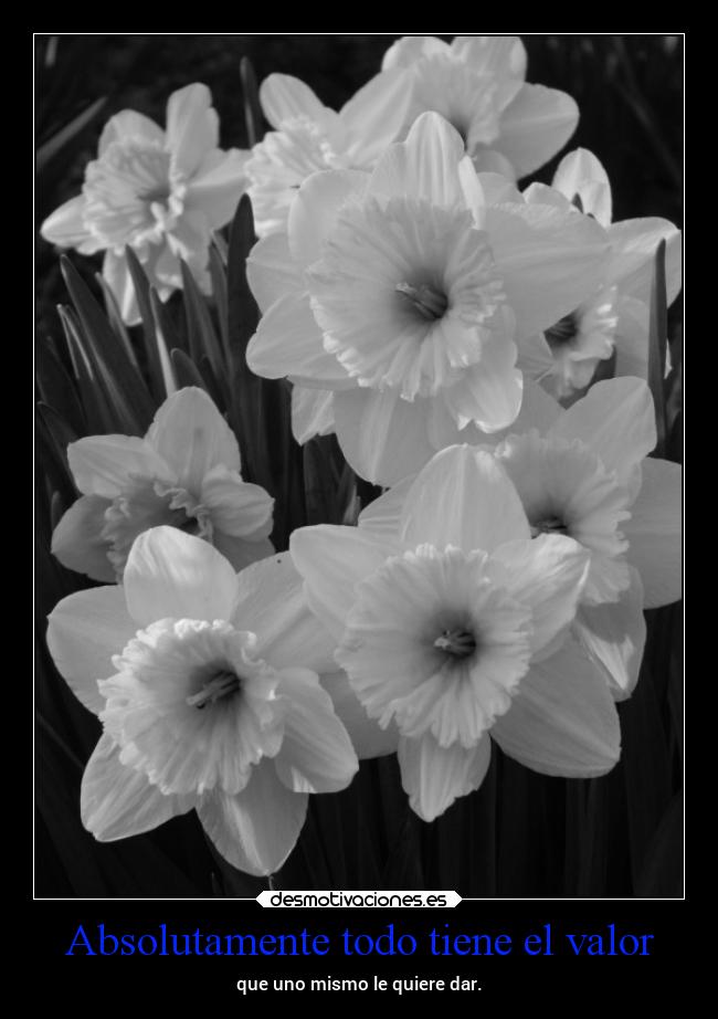 Absolutamente todo tiene el valor - que uno mismo le quiere dar.