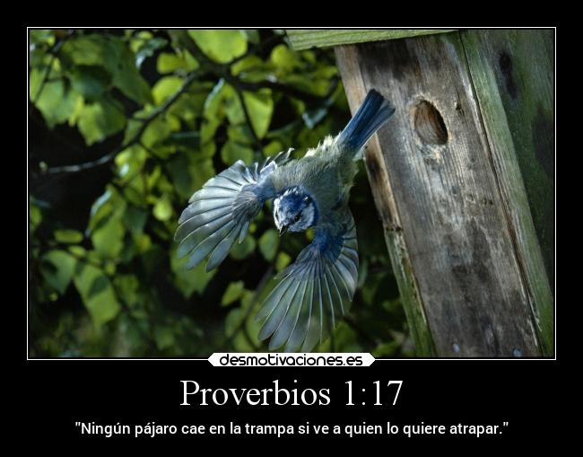 Proverbios 1:17 - Ningún pájaro cae en la trampa si ve a quien lo quiere atrapar.