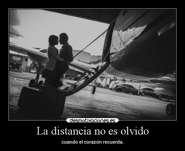 carteles distancia distancia olvidar corazon frases desmotivaciones