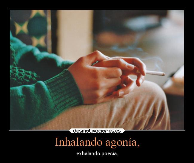 carteles dolor sinzdezorra frase quelei porahi desmotivaciones