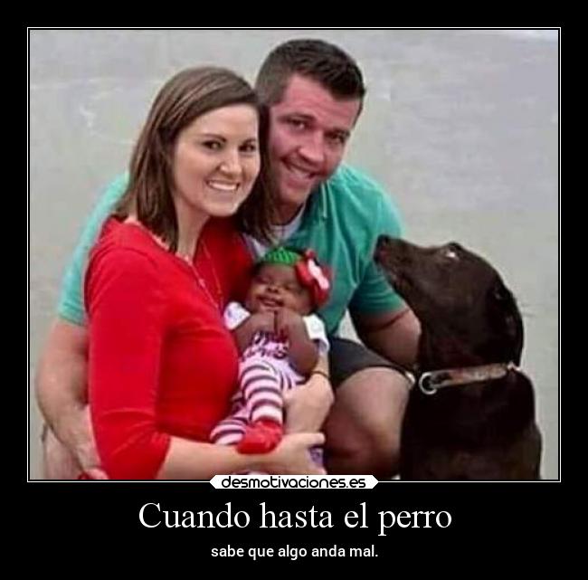 carteles humor animales familia perro cuernos metiendoleelhijo desmotivaciones