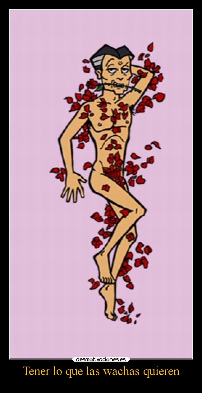 Tener lo que las wachas quieren - 