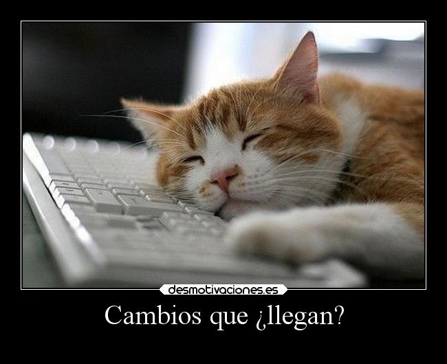 Cambios que ¿llegan? - 