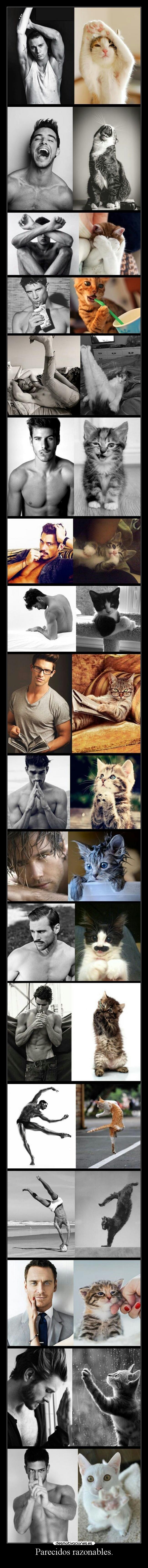 Parecidos razonables. -