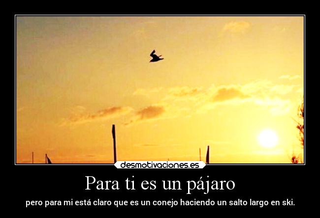 Para ti es un pájaro - 