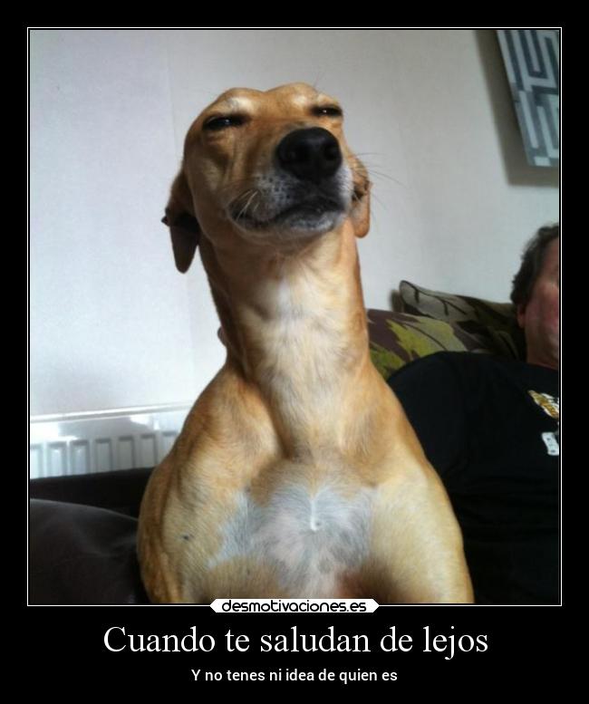 Cuando te saludan de lejos - Y no tenes ni idea de quien es