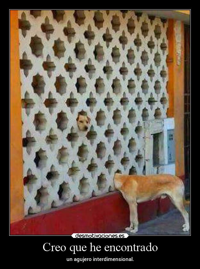 carteles humor desmotivaciones