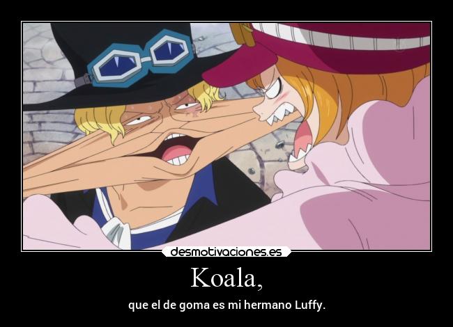 Koala, - que el de goma es mi hermano Luffy.