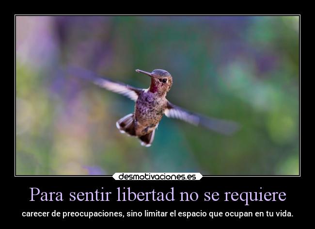 carteles libertad vida libertad carecer preocupaciones reciclandoimagenes clannaturaleza desmotivaciones