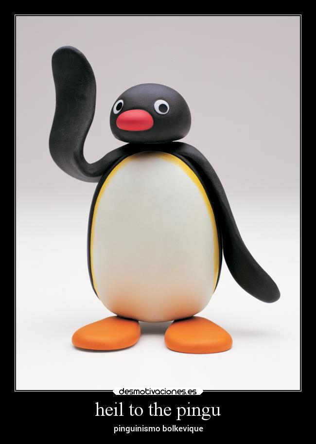 carteles memes shitpost pingu heil pinguinismo desmotivaciones