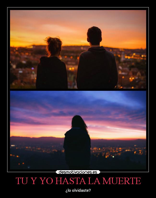 carteles muerte amor desmotivaciones