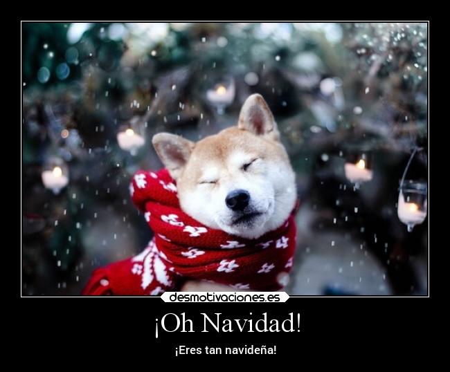 ¡Oh Navidad! - ¡Eres tan navideña!