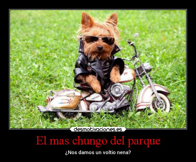 El mas chungo del parque - ¿Nos damos un voltio nena?