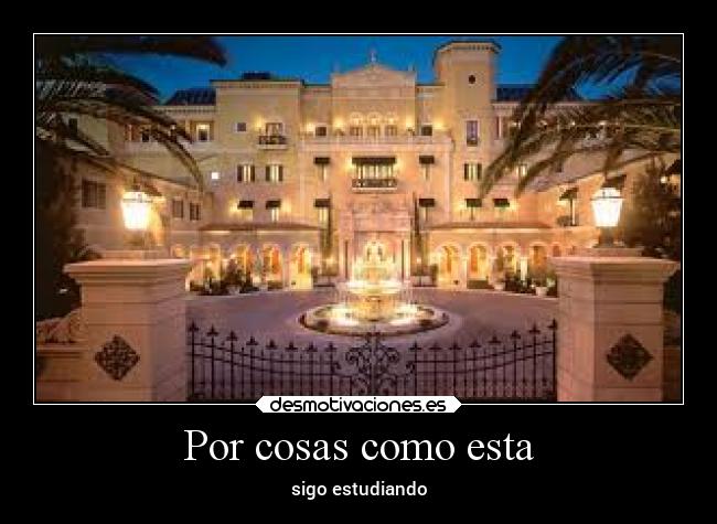 Por cosas como esta - sigo estudiando