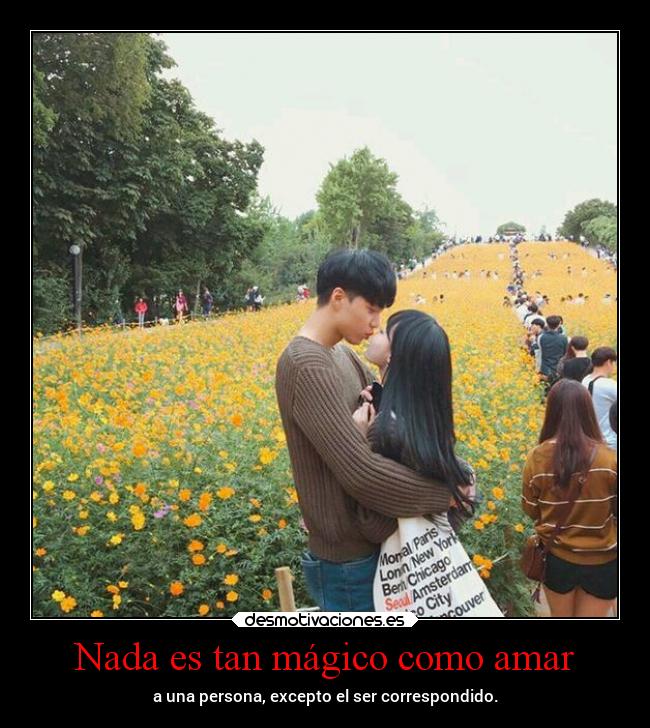 carteles vida amor fairymago aishiterumago projectd desmotivaciones