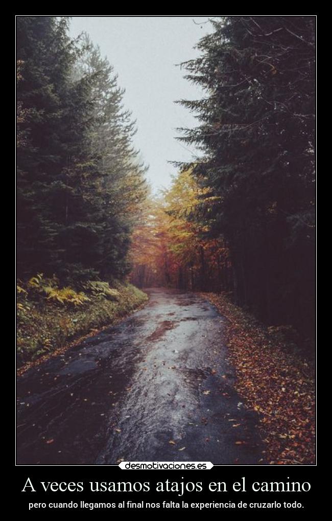 A veces usamos atajos en el camino - 