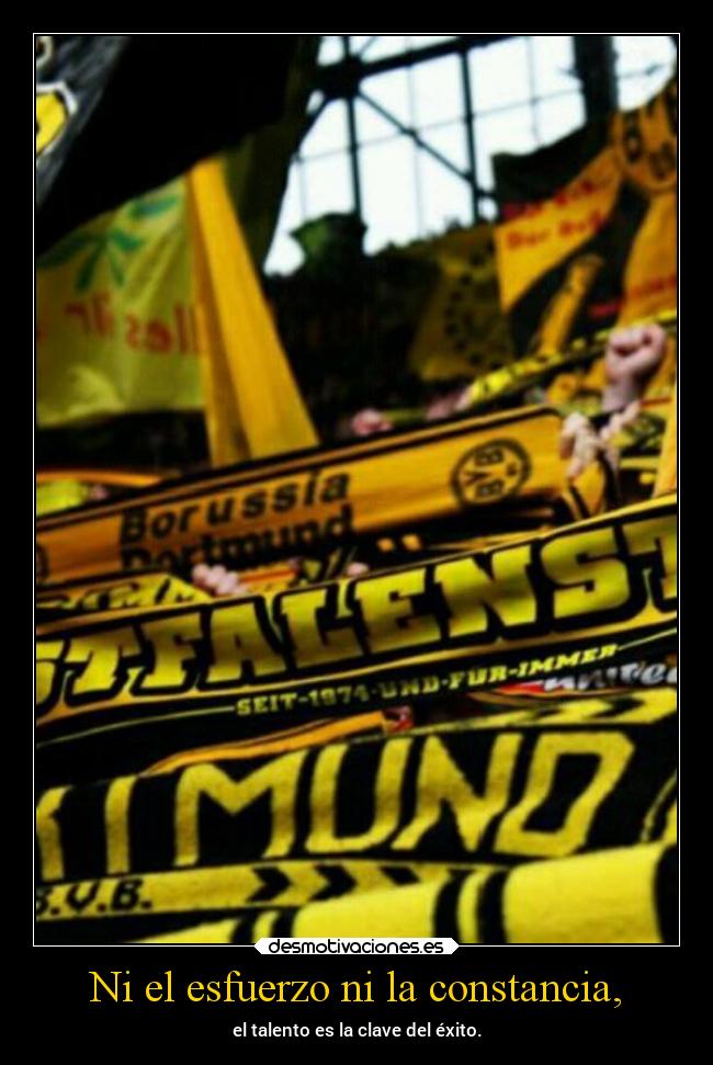 Ni el esfuerzo ni la constancia, - el talento es la clave del éxito.