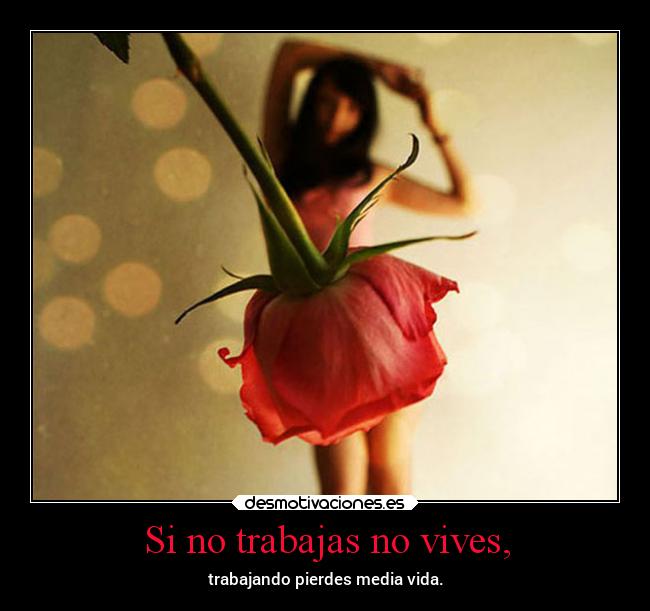 carteles vida clubsadico rosasyespinas sientosirepetialgoexistente ilusionesopticas desmotivaciones