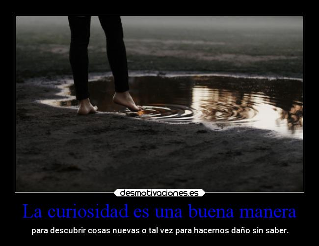 La curiosidad es una buena manera - 
