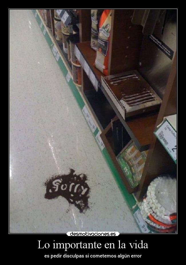 Lo importante en la vida - es pedir disculpas si cometemos algún error