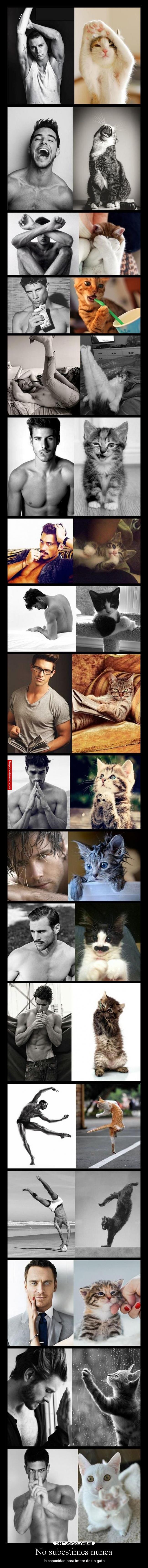 No subestimes nunca - 