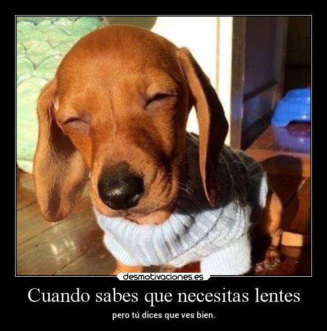 carteles vida humor nomeimportaloquemehaganporqueyovengoaquiesasubircartelesquebajocaen denejemploporfavor desmotivaciones