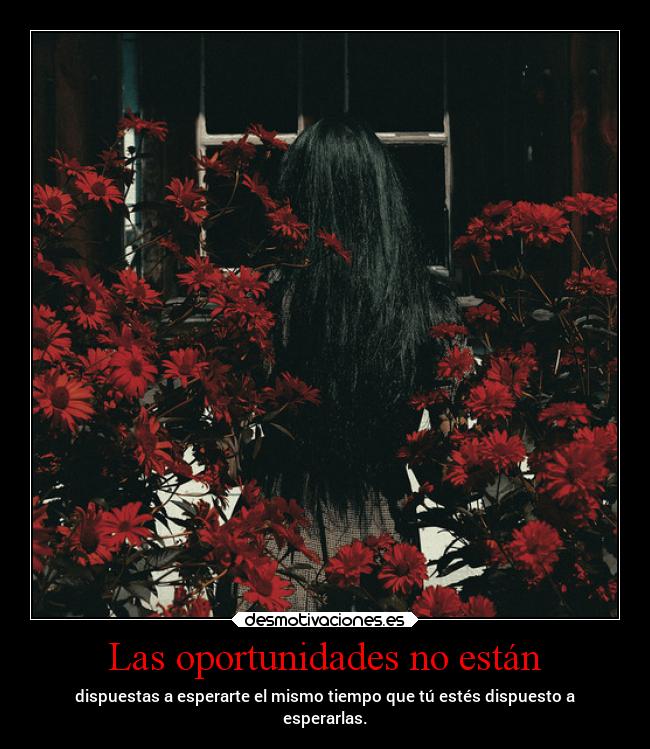 Las oportunidades no están -