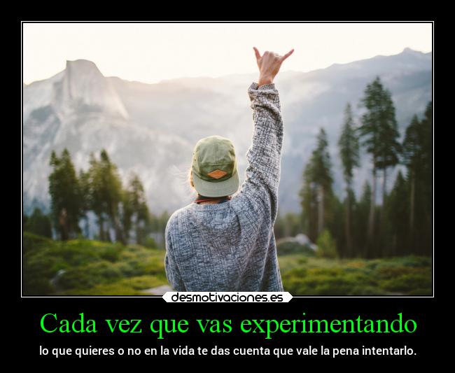 carteles vida nene rosquis hola desmotivaciones