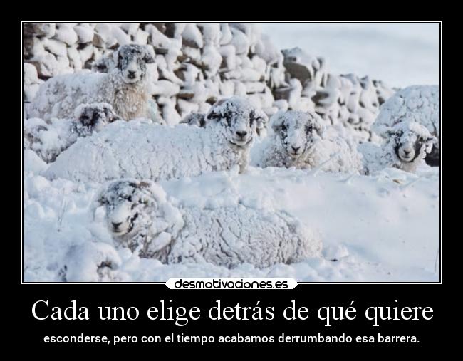 Cada uno elige detrás de qué quiere - esconderse, pero con el tiempo acabamos derrumbando esa barrera.