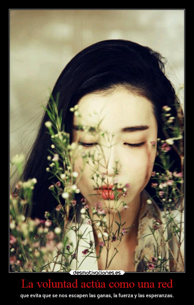 carteles vida pensamientos projectd desmotivaciones