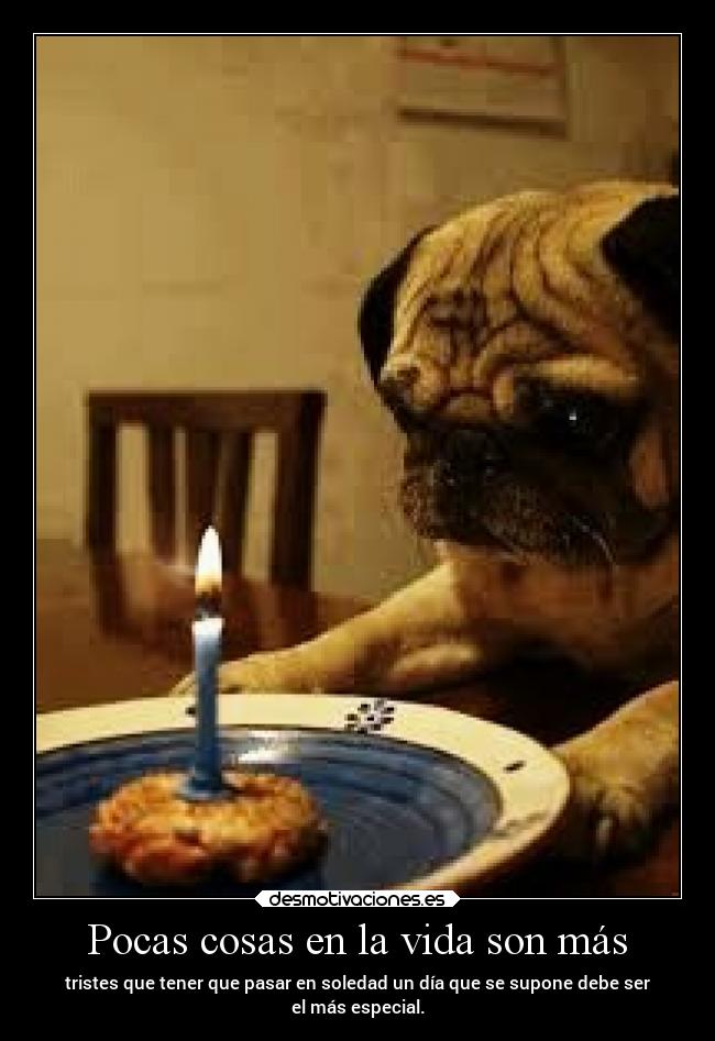 Pocas cosas en la vida son más - tristes que tener que pasar en soledad un día que se supone debe ser
el más especial.