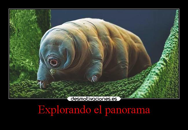 carteles vida superclan soyunidiotatm lossupervivientes clanosodeagua osodeagua desmotivaciones