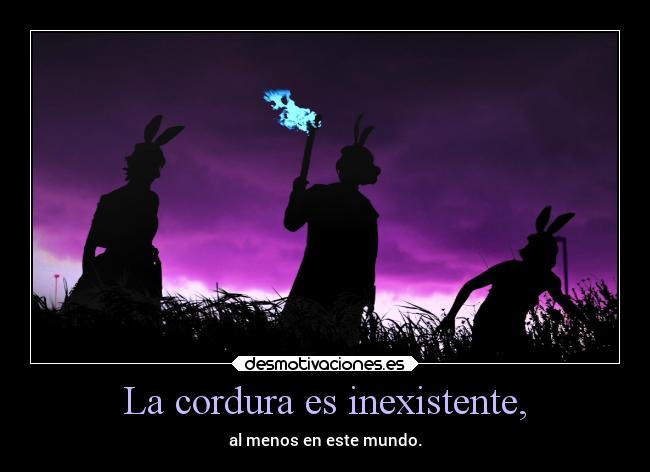 La cordura es inexistente, - 