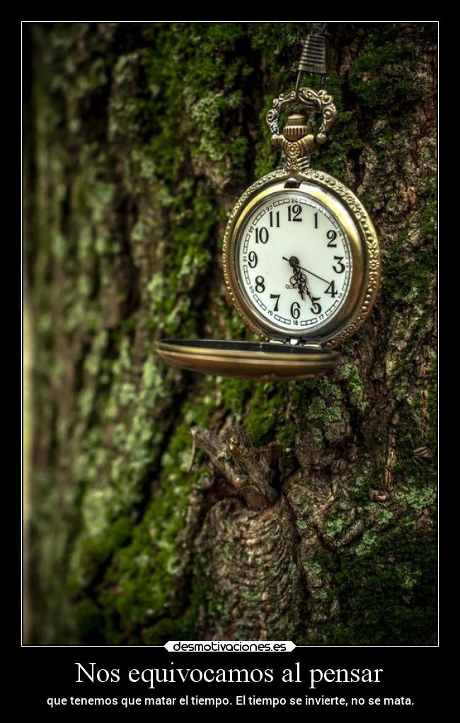 Nos equivocamos al pensar - 