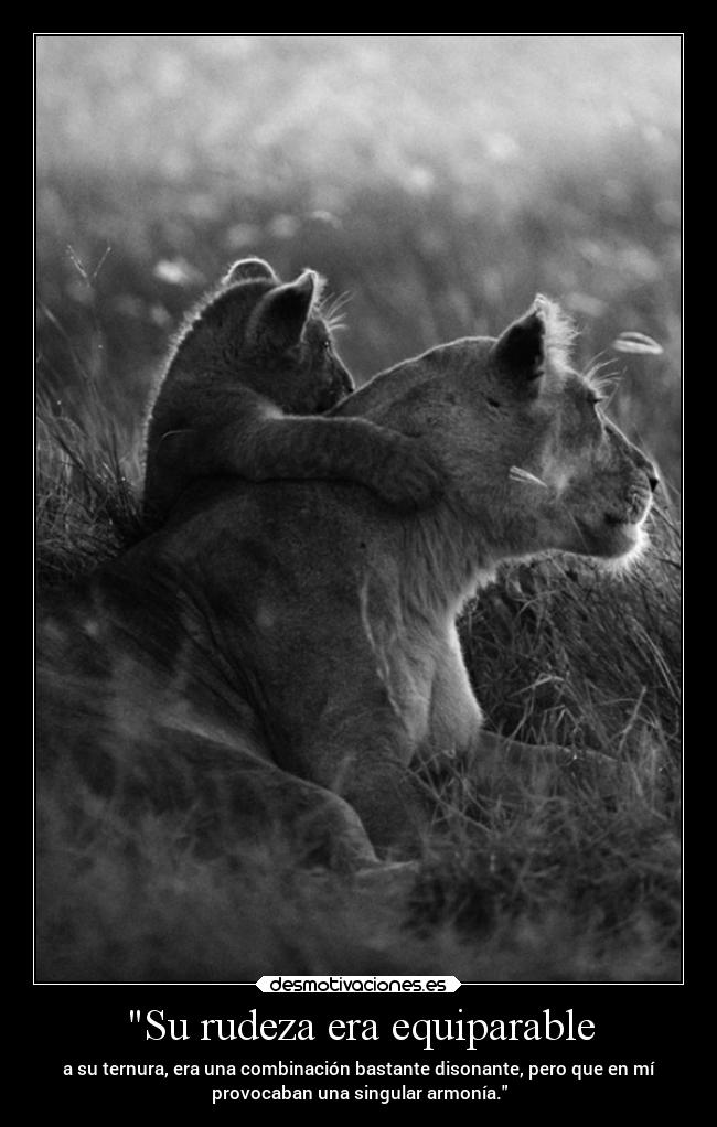 Su rudeza era equiparable - a su ternura, era una combinación bastante disonante, pero que en mí
provocaban una singular armonía.