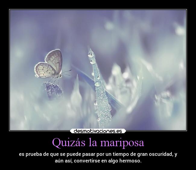 Quizás la mariposa - es prueba de que se puede pasar por un tiempo de gran oscuridad, y
aún así, convertirse en algo hermoso.
