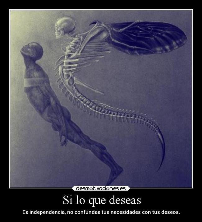 Si lo que deseas - Es independencia, no confundas tus necesidades con tus deseos.