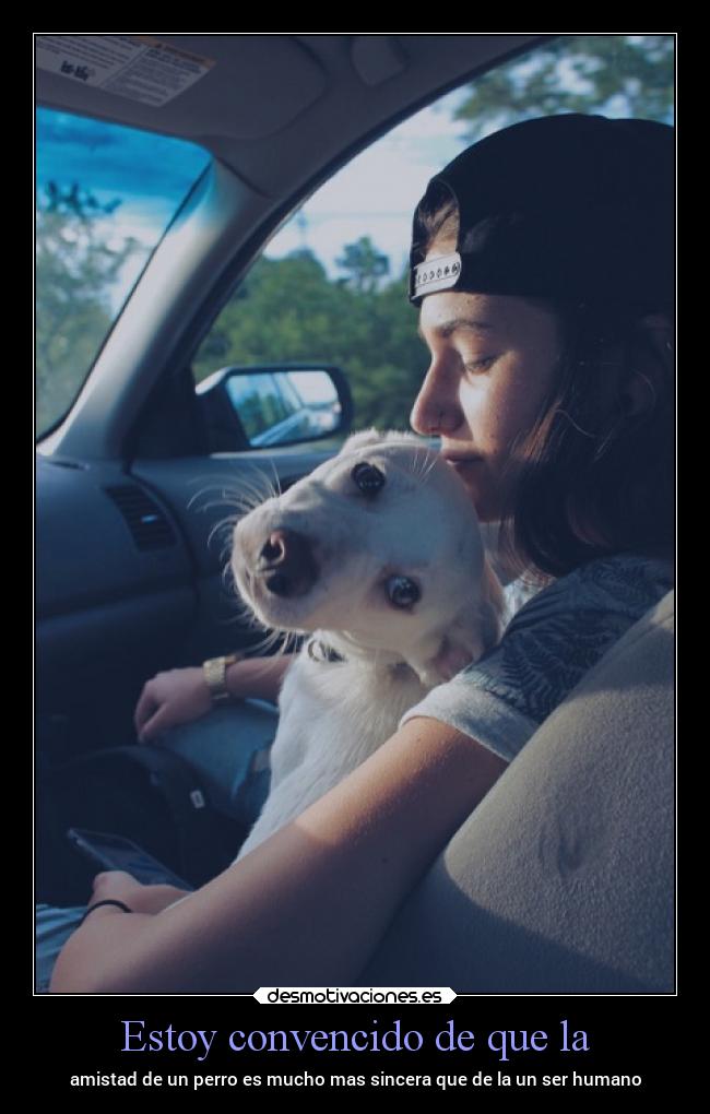 Estoy convencido de que la - amistad de un perro es mucho mas sincera que de la un ser humano