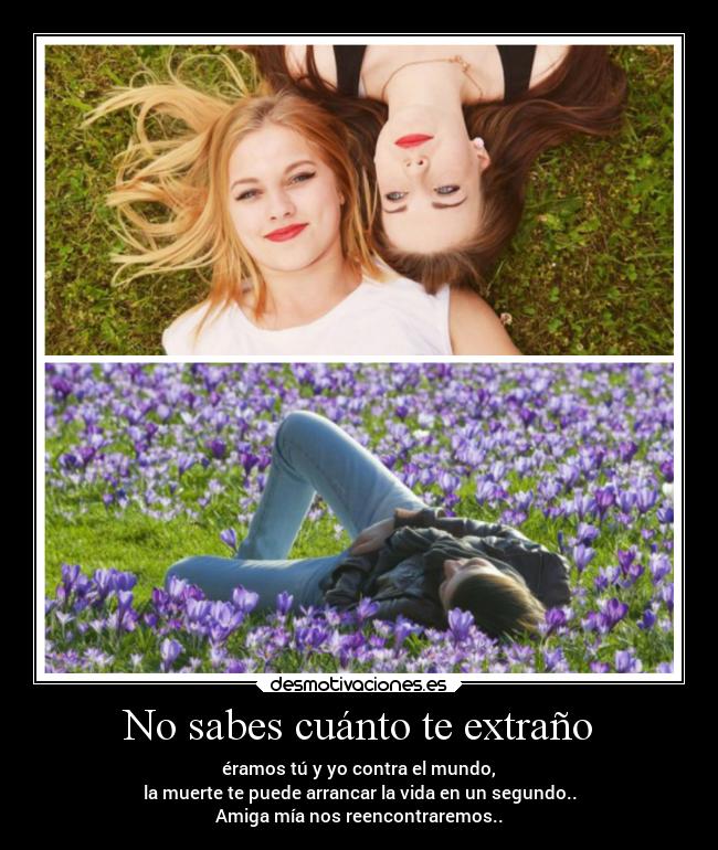 No sabes cuánto te extraño - éramos tú y yo contra el mundo,
la muerte te puede arrancar la vida en un segundo..
Amiga mía nos reencontraremos..