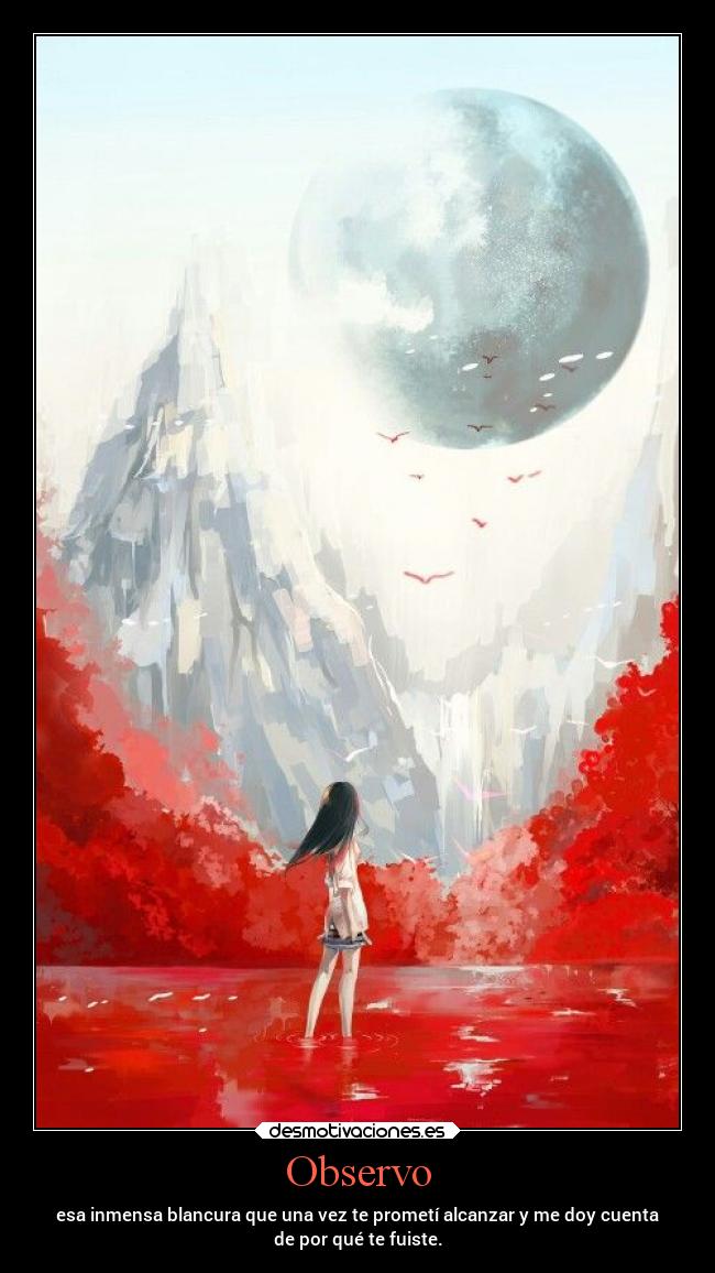 Observo - esa inmensa blancura que una vez te prometí alcanzar y me doy cuenta
de por qué te fuiste.