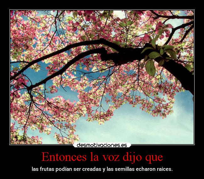 Entonces la voz dijo que -